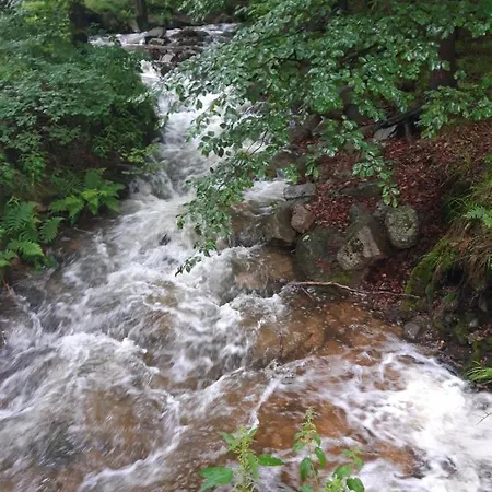 Kuklik 民宿 卡尔帕奇