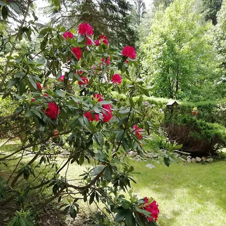 Homestay szállás Kuklik