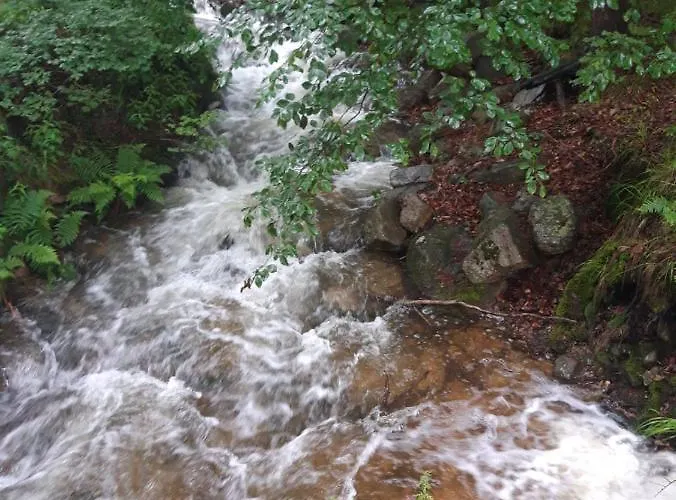 Kuklik 홈스테이 카르파츠