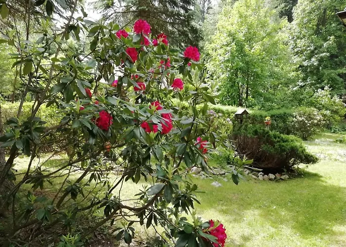 Alloggio in famiglia Kuklik